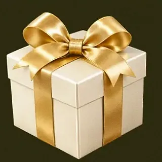Wrapped gift box — Betzillo